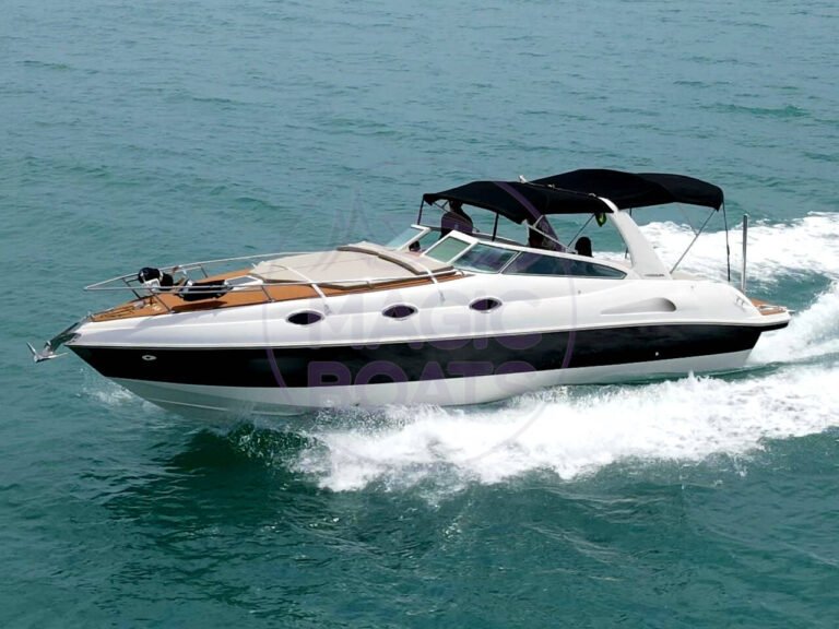 Magna 305 – C11