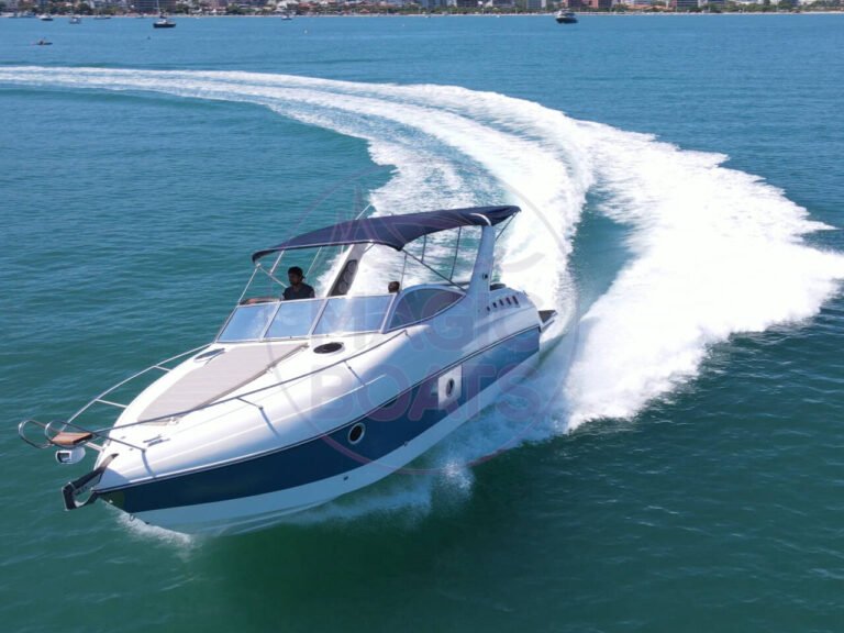 Singular 290 – C46