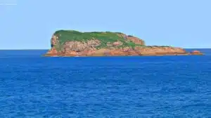 Ilha do Badejo