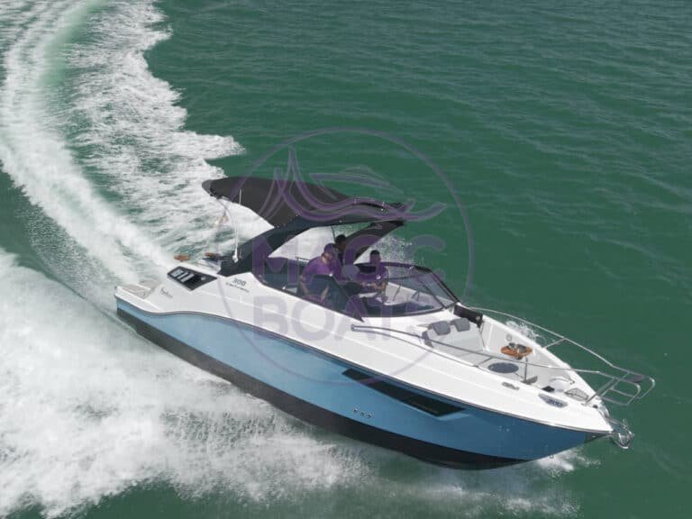 Focker 300 GTS – C102